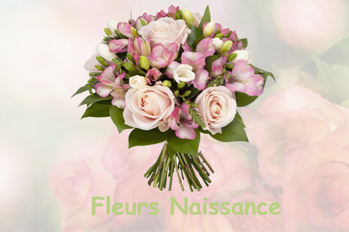 fleurs naissance FONTENU