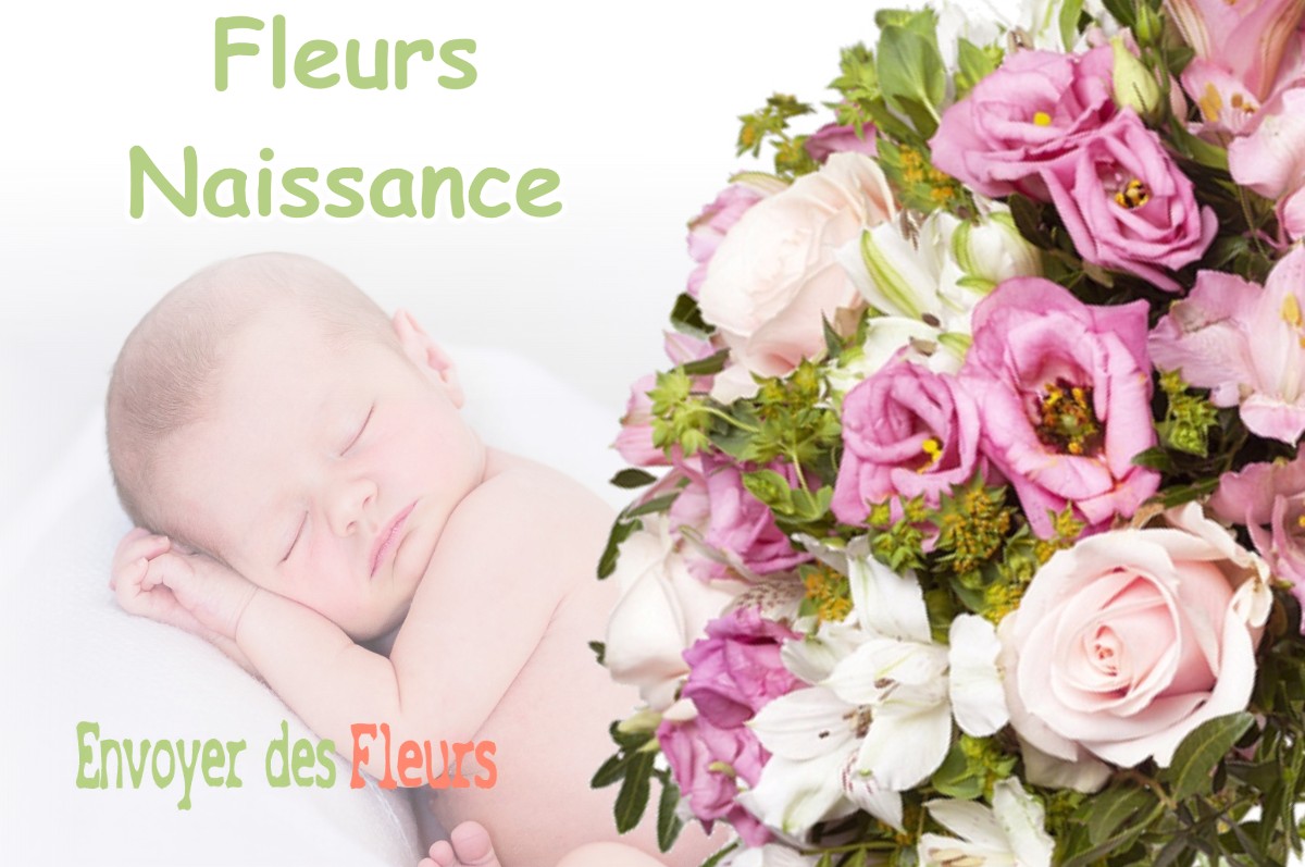 lIVRAISON FLEURS NAISSANCE à FONTENU